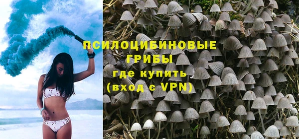 не бодяженный Богданович