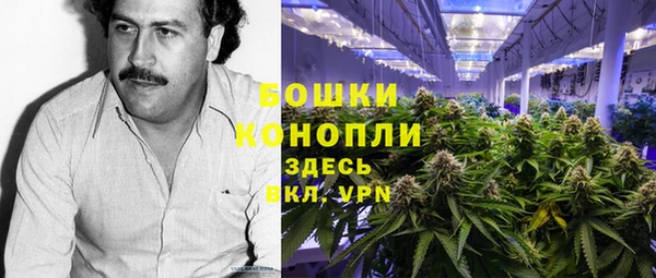 не бодяженный Богданович