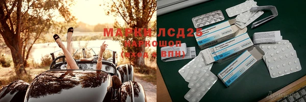 ПСИЛОЦИБИНОВЫЕ ГРИБЫ Богородск