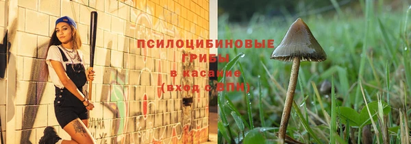 ПСИЛОЦИБИНОВЫЕ ГРИБЫ Богородск