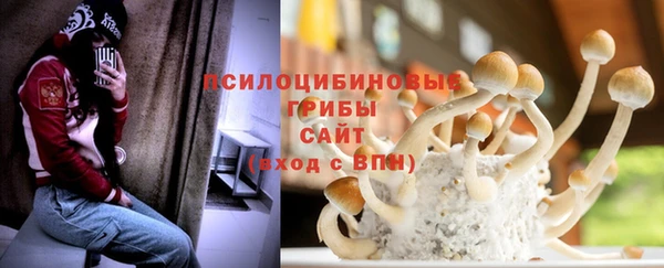 ПСИЛОЦИБИНОВЫЕ ГРИБЫ Богородск