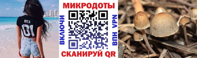 Галлюциногенные грибы мицелий  MEGA ссылки  Вуктыл 