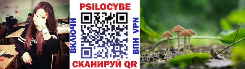 Галлюциногенные грибы Psilocybe Вуктыл